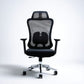 High Back Ergonomic Chair NEXUS with 3D armrest and Adjustable Lumbar Support